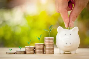Growing Savings – Piles of Money and a Piggy Bank